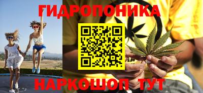 гидропоника Заволжье